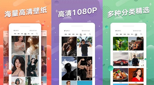 手机动态壁纸破解版下载